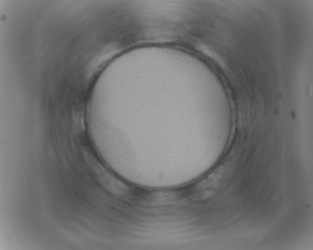 X0000075811451200610061720