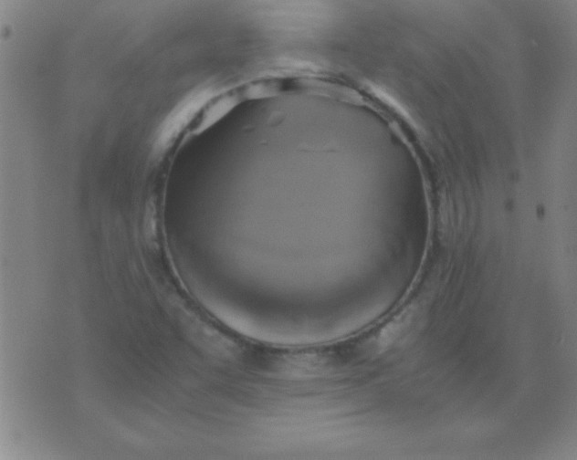 X0000075811455200610061720