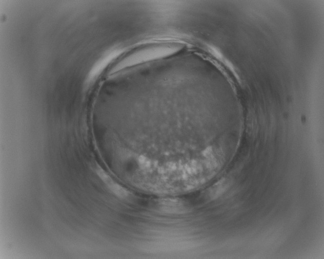 X0000075811456200610061720