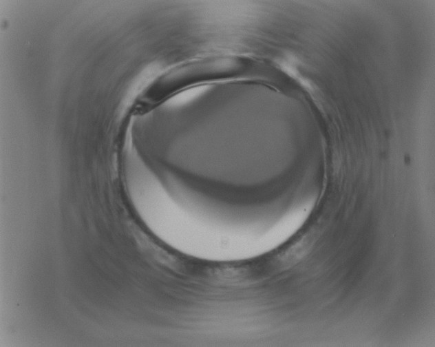 X0000075811459200610061719