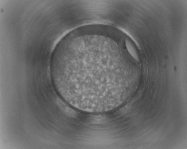 X0000075811460200610061719