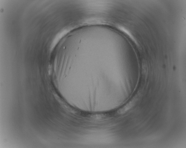 X0000075811461200610061719