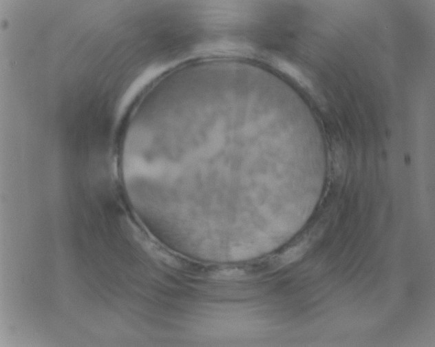 X0000075811462200610061719