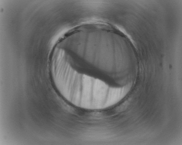 X0000075811463200610061719