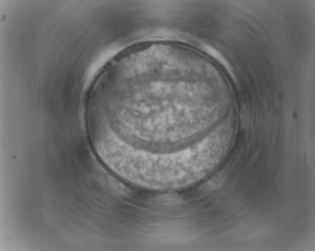 X0000075811464200610061719