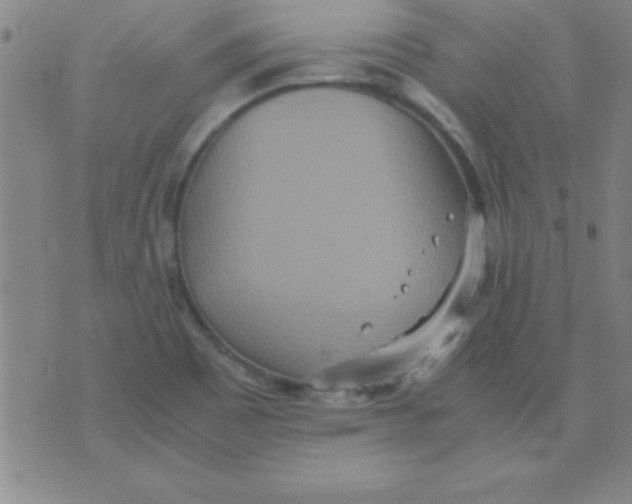 X0000075811465200610061719