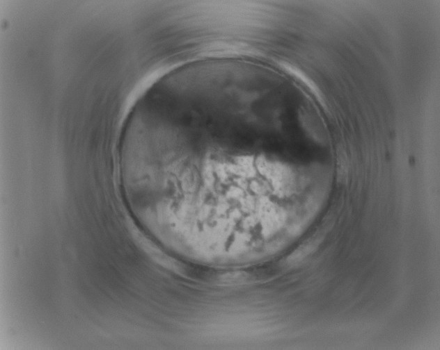 X0000075811467200610061719