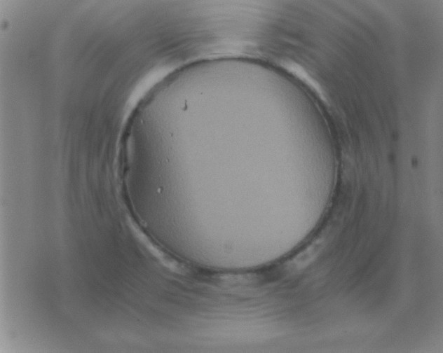 X0000075811469200610061719