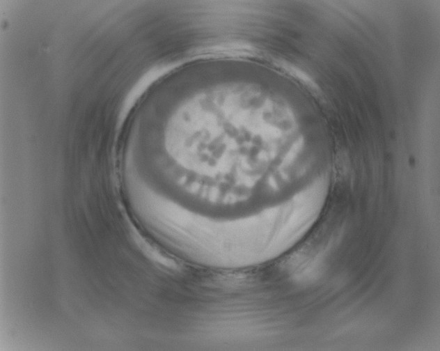 X0000075811470200610061719