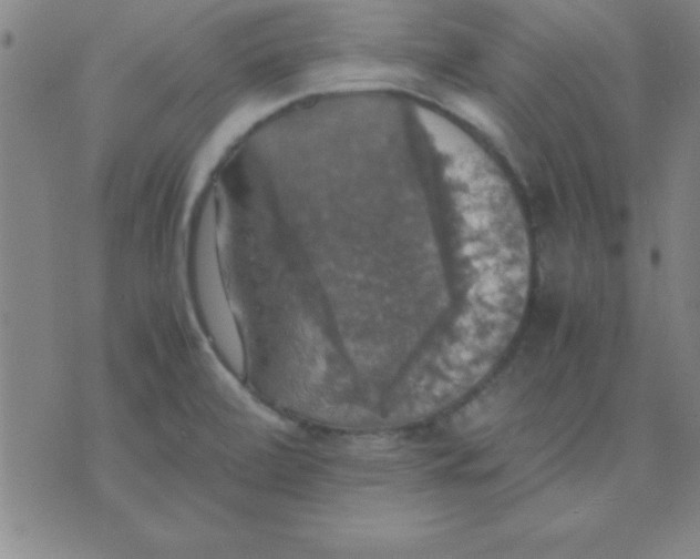 X0000075811472200610061719