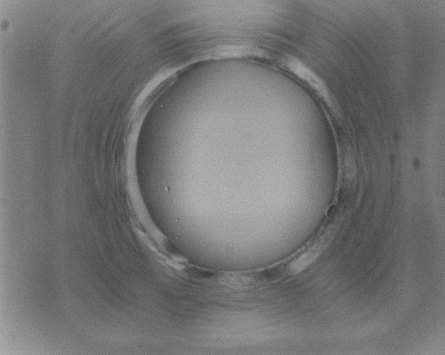 X0000075811473200610061719