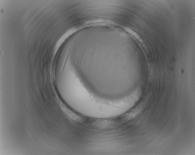 X0000075811474200610061719