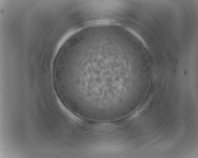 X0000075811475200610061719