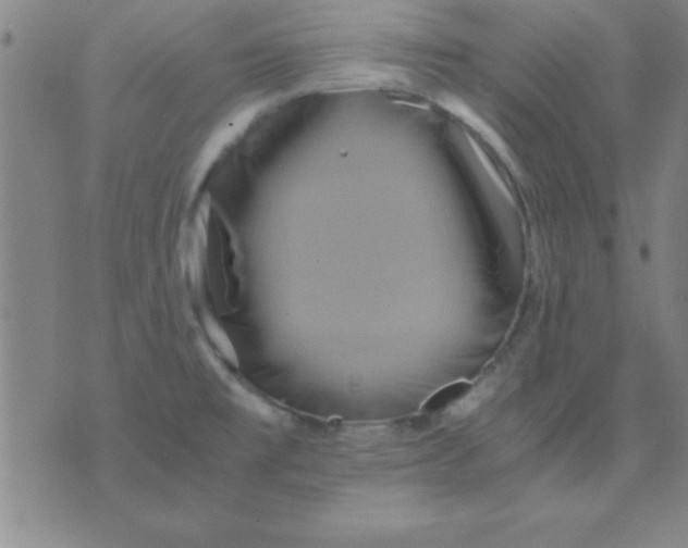 X0000075811477200610061719