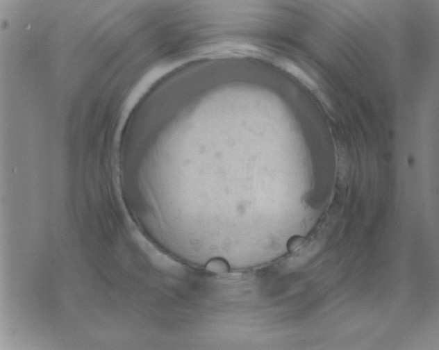 X0000075811478200610061719