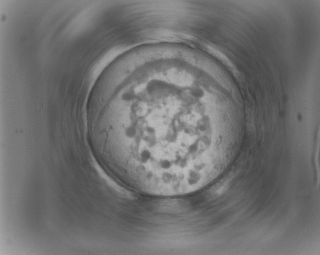 X0000075811479200610061719