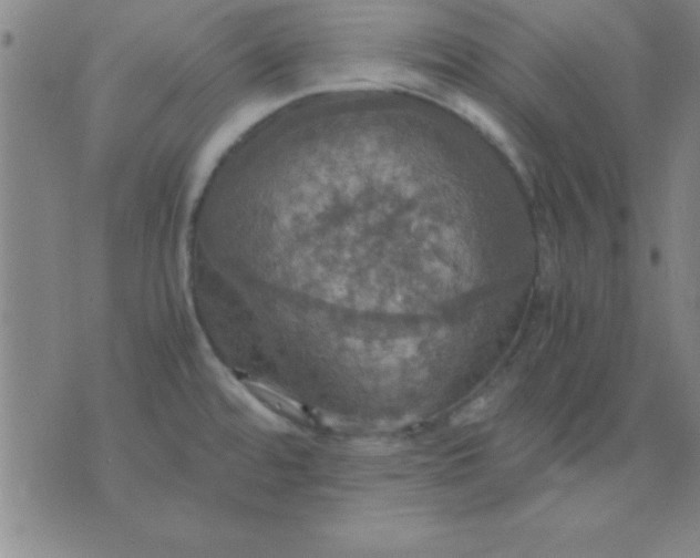 X0000075811480200610061719