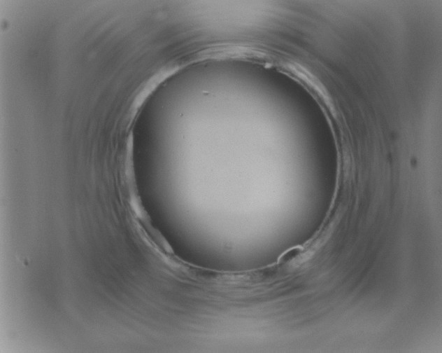 X0000075811481200610061719