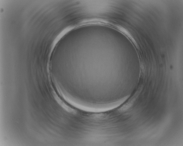 X0000075811482200610061719