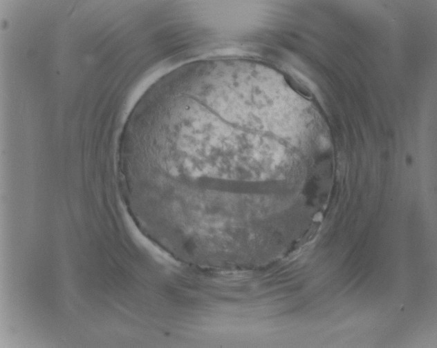 X0000075811483200610061719