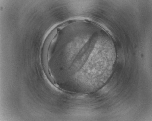 X0000075811484200610061719