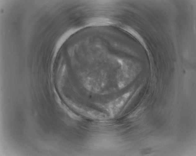 X0000075811488200610061719