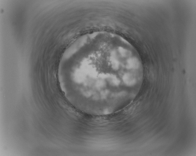 X0000075811489200610061718