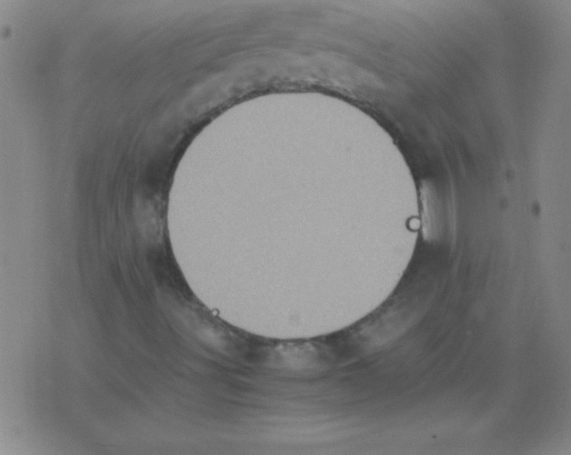 X0000075811491200610061718