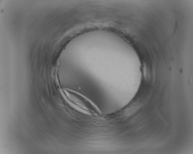 X0000075811492200610061718