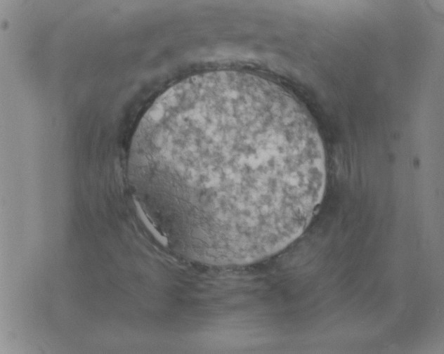 X0000075811493200610061718