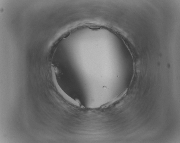 X0000075811496200610061718