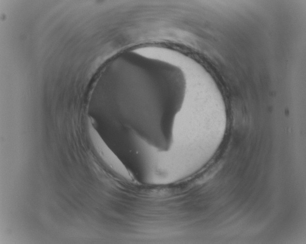 X0000075811497200610061718