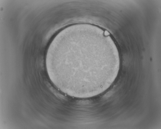 X0000075811499200610061718