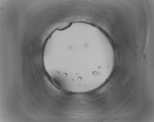 X0000075811500200610061718