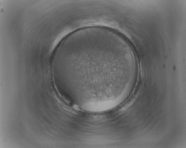 X0000075811501200610061718