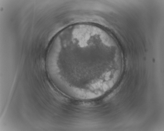 X0000075811505200610061718