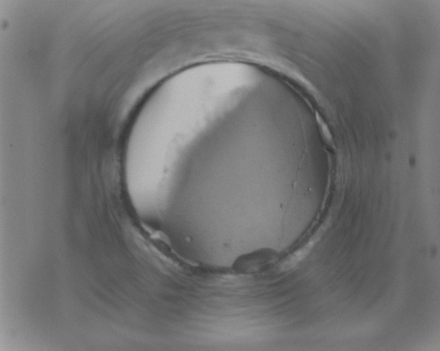 X0000075811506200610061718