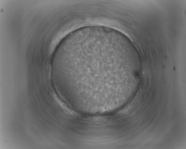 X0000075811507200610061719