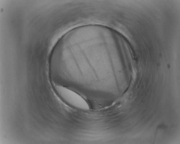 X0000075811508200610061719