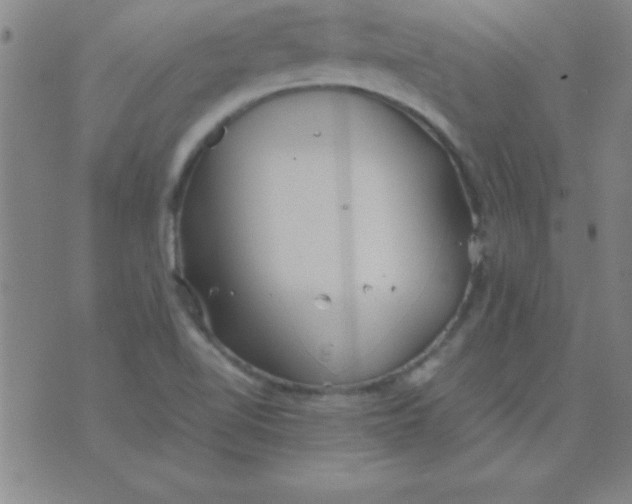 X0000075811510200610061719