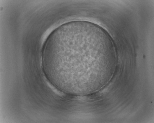 X0000075811511200610061719