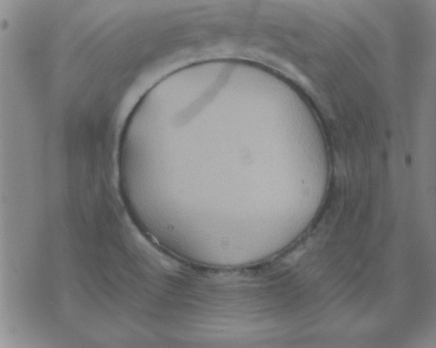 X0000075811512200610061719