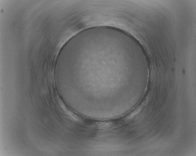 X0000075811513200610061719