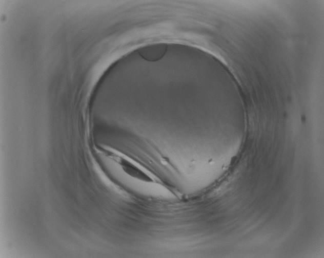 X0000075811515200610061719