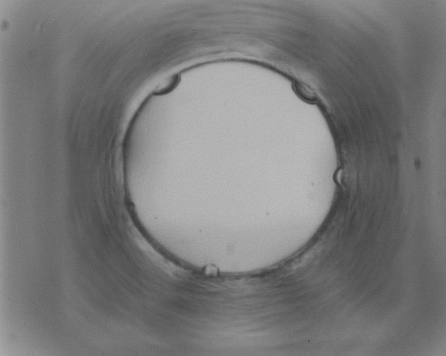 X0000075811516200610061719