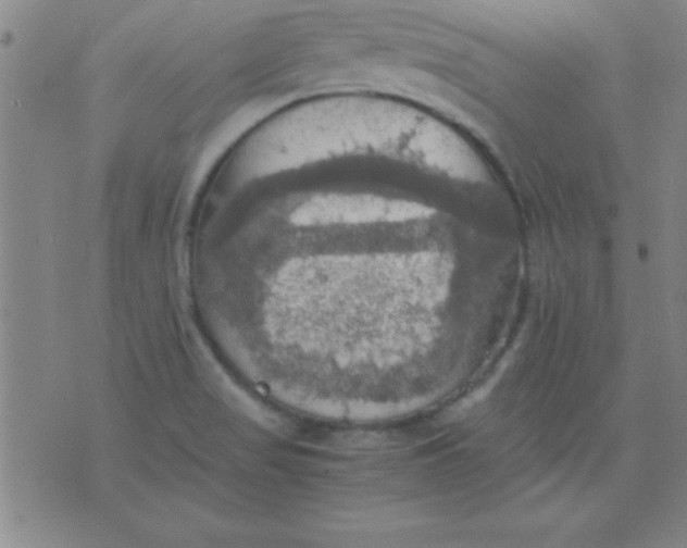 X0000075811517200610061719