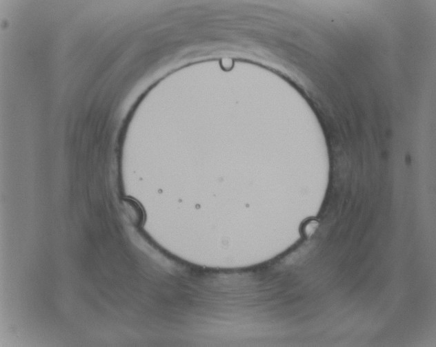 X0000075811518200610061719