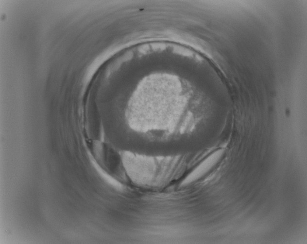 X0000075811519200610061719