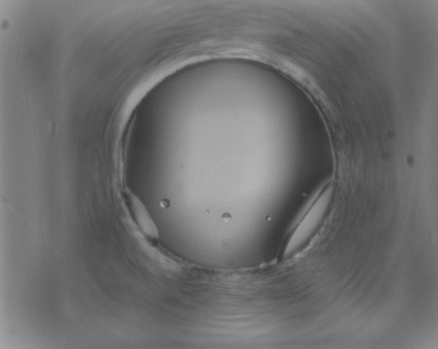 X0000075811520200610061719