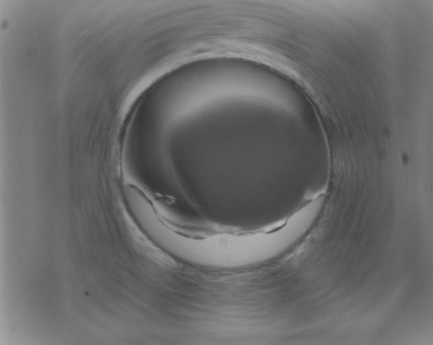 X0000075811522200610061719